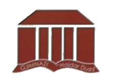 Hajdar Dushi logo